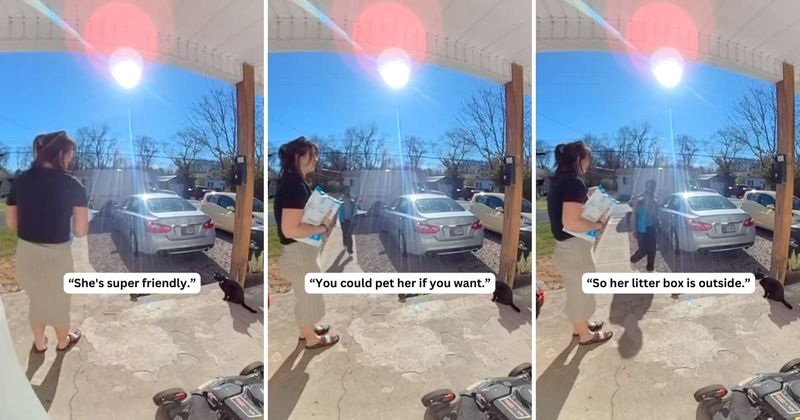 Cat saying 'hello' to a delivery man is the cutest thing on the internet today