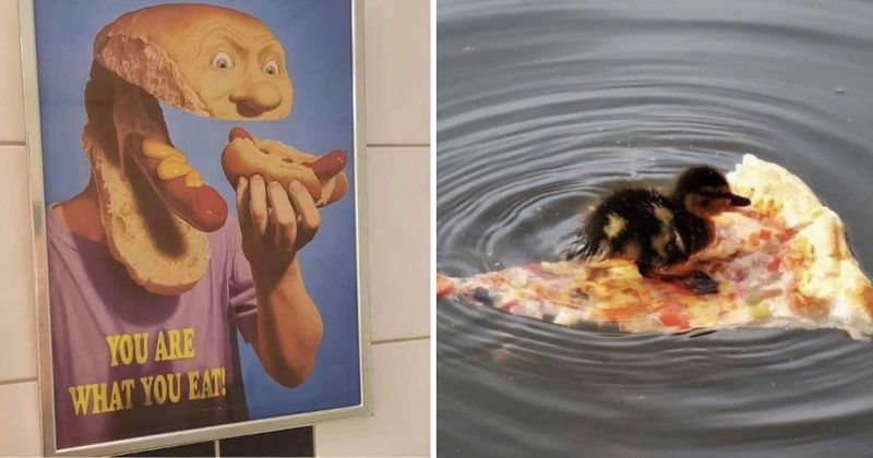25 hilarious and intriguing images that raise more questions than they answer