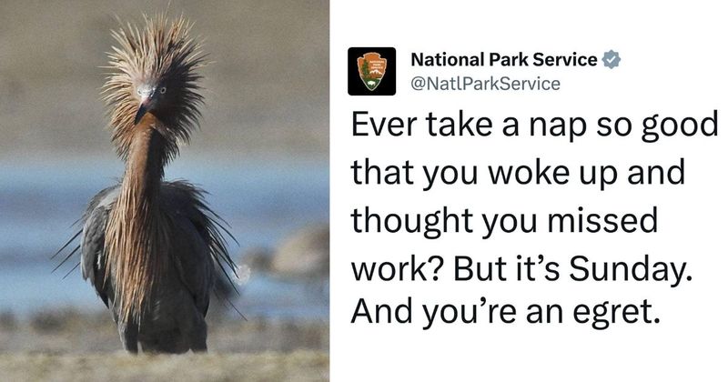 25 hilarious posts by National Park Service that prove they hired the best social media specialist