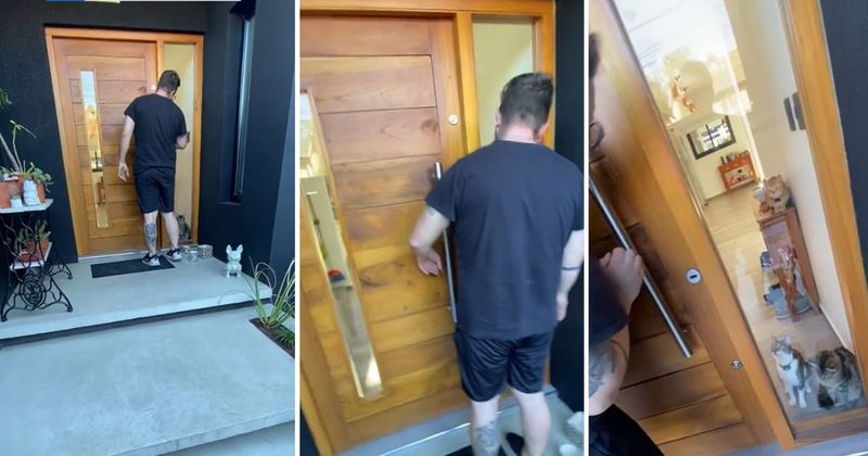 Man who got locked out of the house gets hilariously rescued by his three bemused pet cats