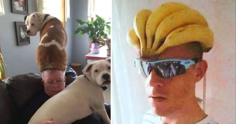 25 amusing pictures of hilarious and questionable 'hats' that scream chaos in the best way