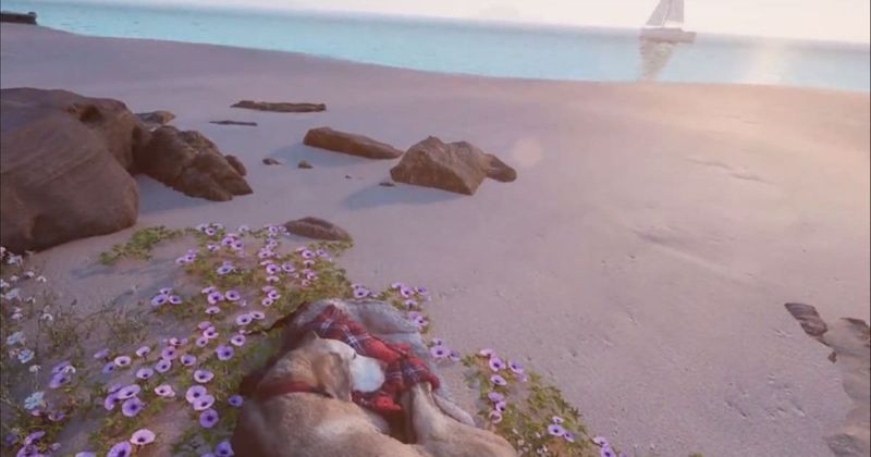 Man creates an entire VR world to keep visiting his beloved pet after she passed away