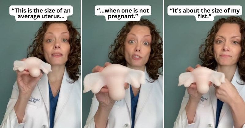 OBGYN demonstrates why a body can't 'bounce back' to its pre-pregnancy state right after childbirth