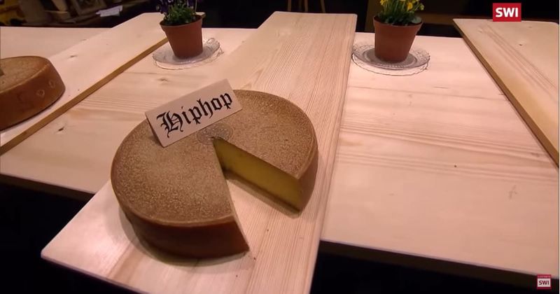 Music indeed impacts flavor, smell and taste of cheese, proves study. Hip-hop gives the best result