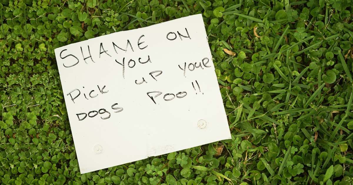 25 hilariously weird notes from neighbors that will have you rolling with laughter