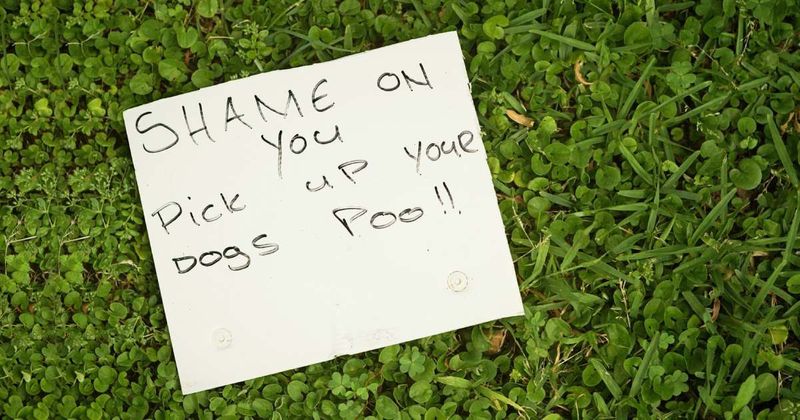 25 hilariously weird notes from neighbors that will have you rolling with laughter