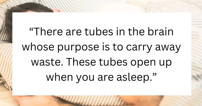 Medical professionals reveal 10 obvious but mind-blowing human health facts most people don't know