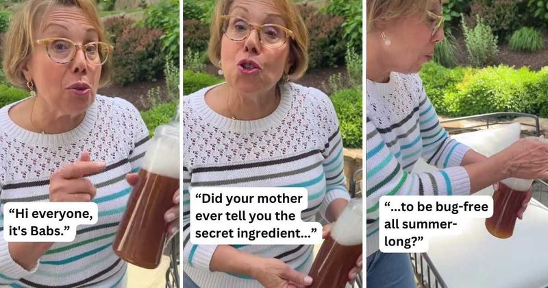 Woman's simple yet ingenious hack to keep houses and food bug-free during summer is already a hit