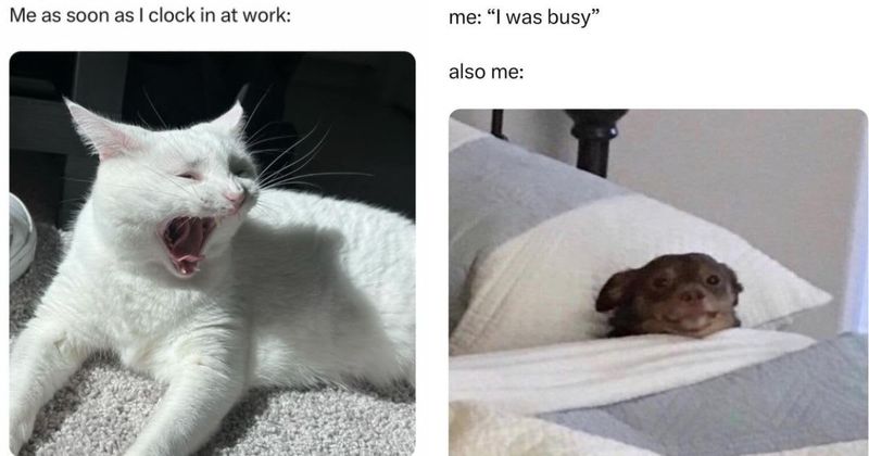 25 funny and relatable memes that talk about everything from work to relationships