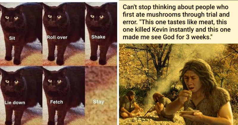 25 relatable memes that guarantee a good laugh for folks who need a break from their day