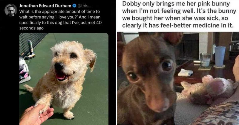 25 wholesome memes that might restore a person's faith in people and the universe