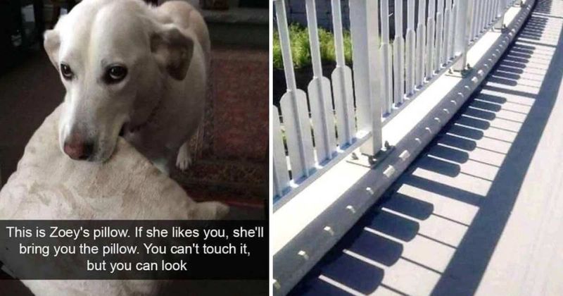 25 hilarious memes that are helping us get through this work week and ignore life's stress