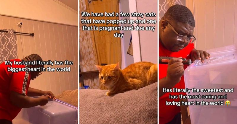 Proud wife shares empathetic husband's efforts to create a makeshift shelter for pregnant stray cat