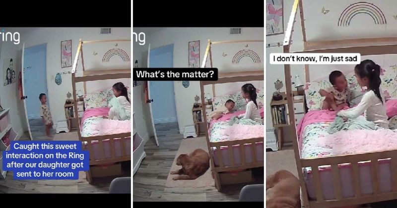 Camera captures brave toddler ready to take on mom and dad after noticing his sister upset