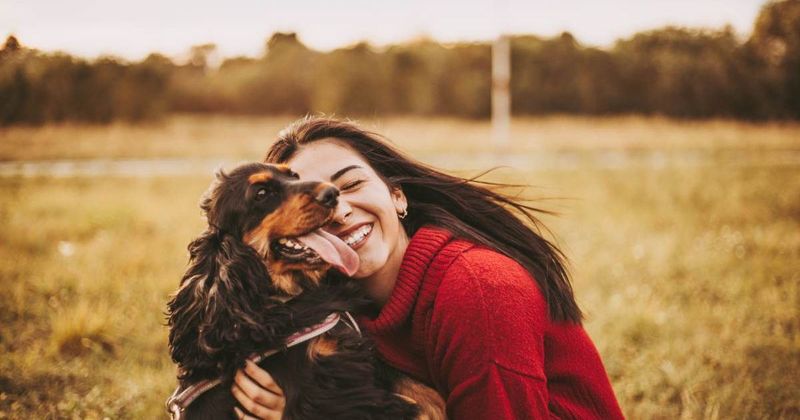 Woman adopts a senior dog, discovers a surprise connection to her childhood best friend