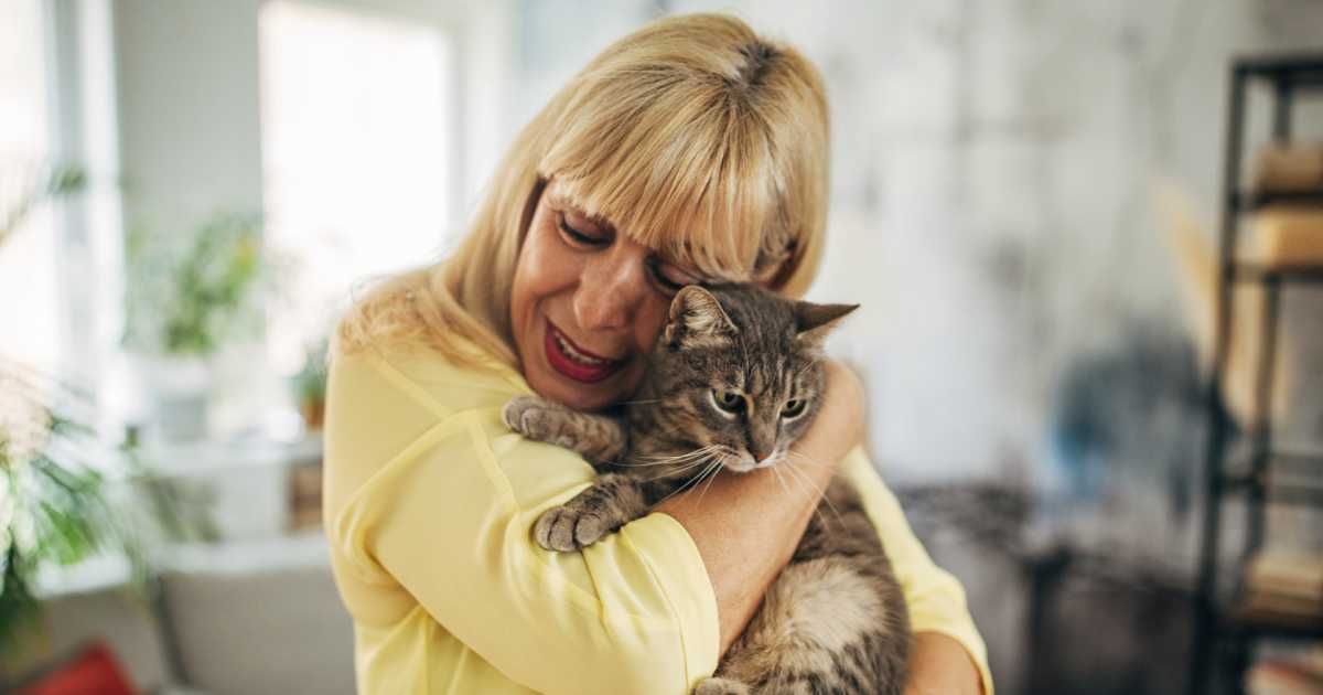 Woman reunites with her missing cat after 13 years, only to realize she'd come to say goodbye