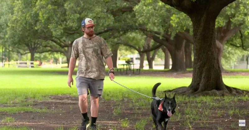 Texas mailman rushes to adopt dog from daily route after his veteran-owner passed away