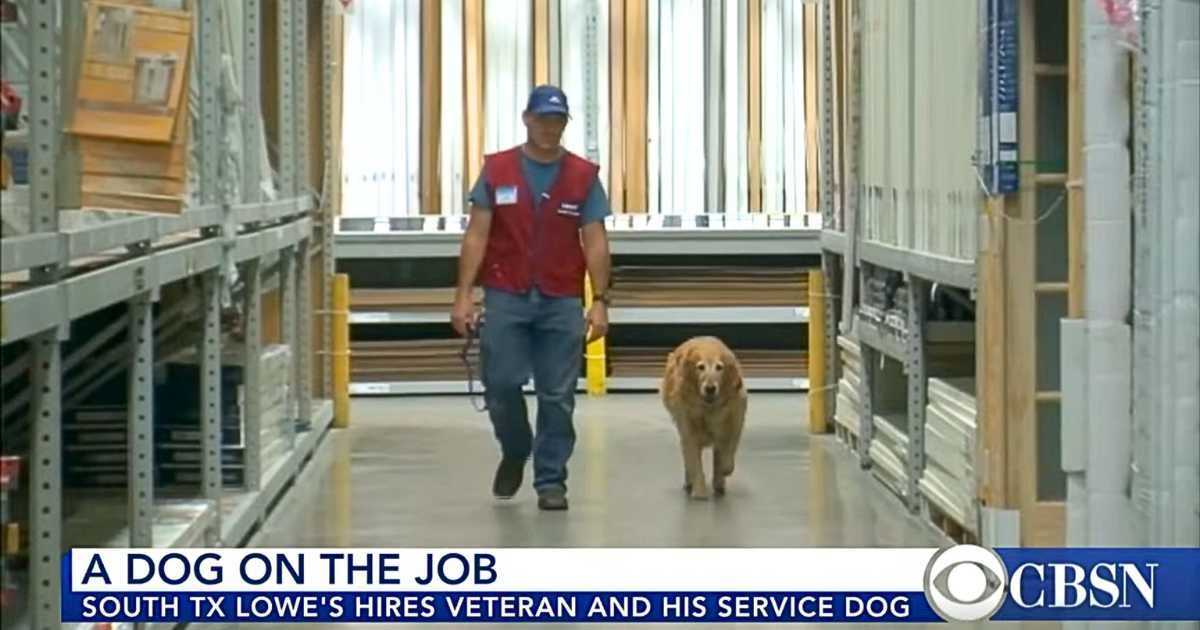 Disabled US Veteran couldn't work without his service dog — so Texas Lowe's hired the dog as well