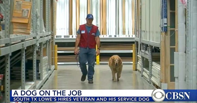 Disabled US Veteran couldn't work without his service dog — so Texas Lowe's hired the dog as well