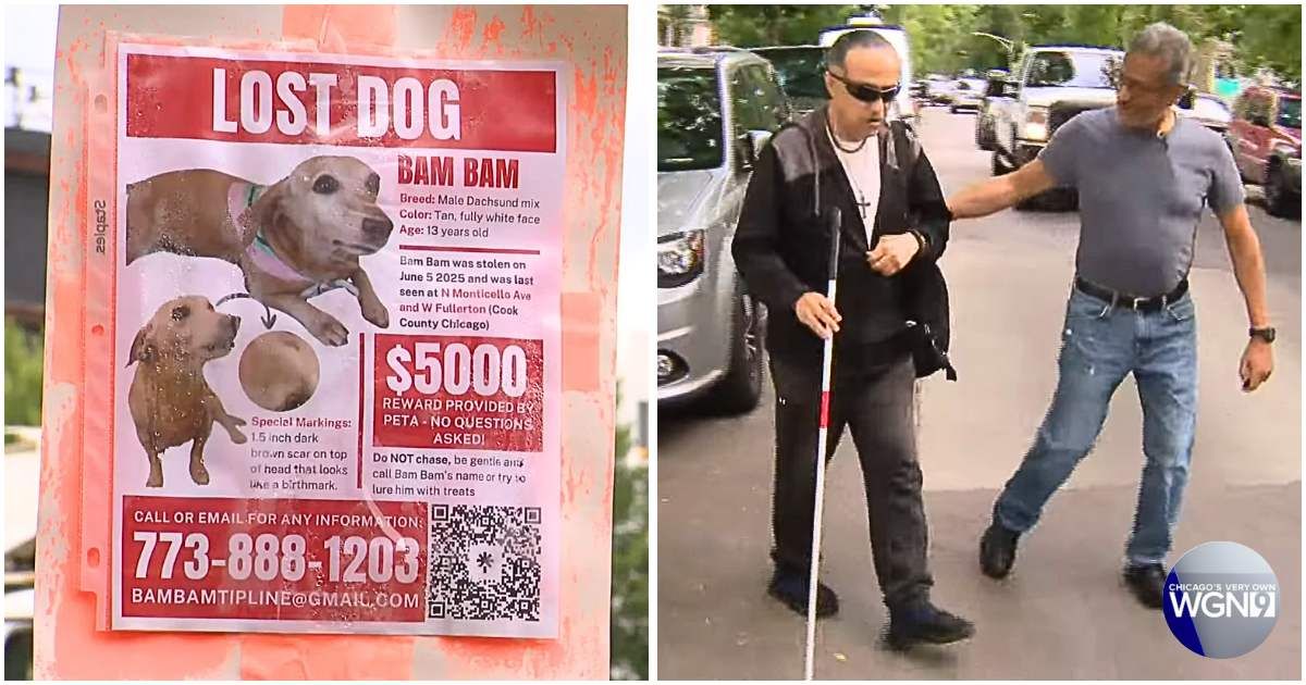 Blind senior who walked 400 miles door-to-door looking for lost dog gets the news he was desperate to hear