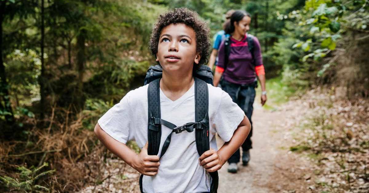 Walking through nature can help you discover your true self: study