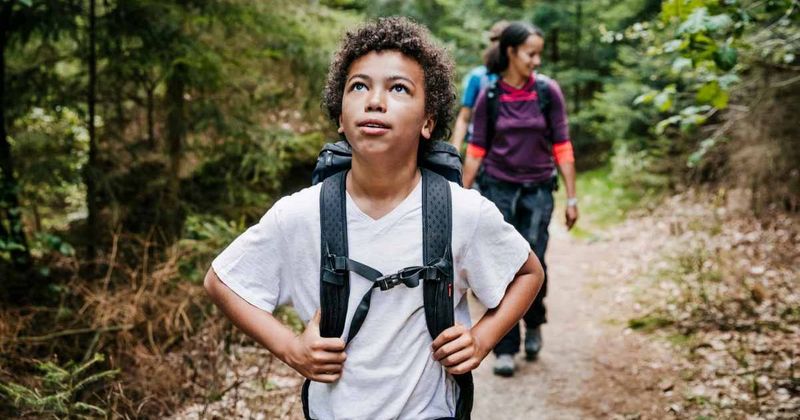 Walking through nature can help you discover your true self: study