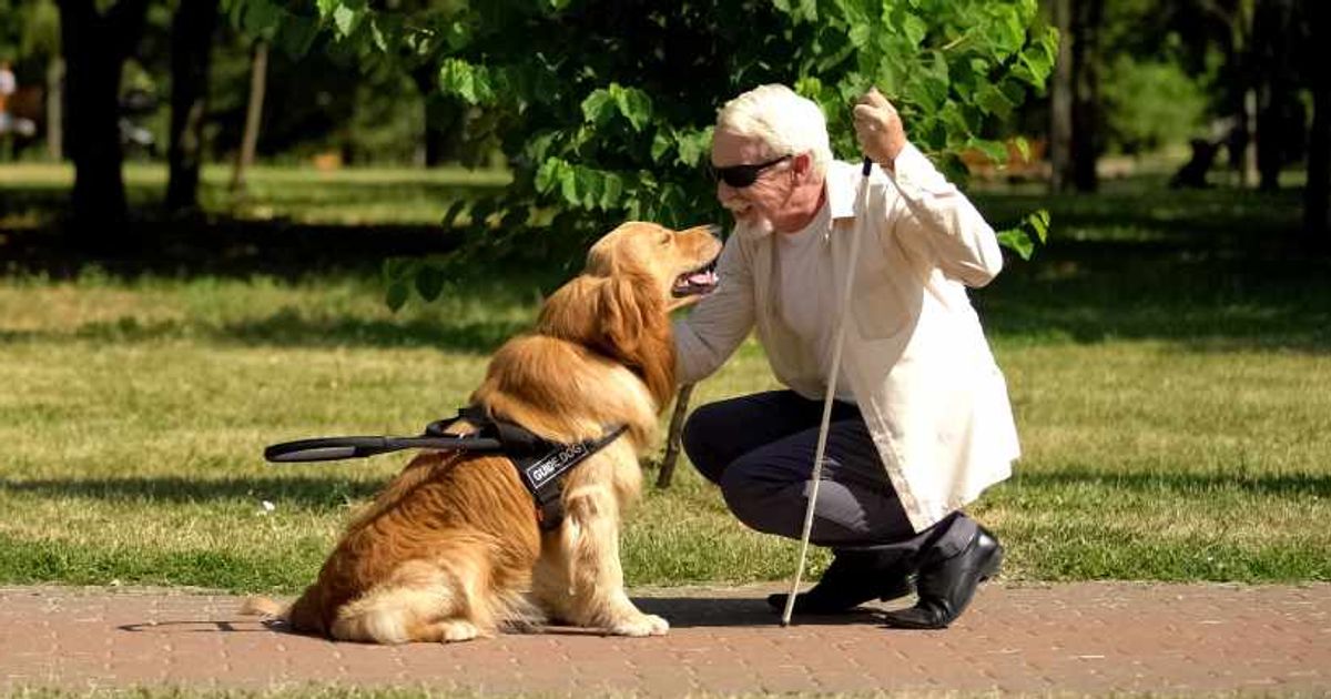 Dog’s peculiar barking made owner feel uneasy. Then she noticed the blind 92-yr-old on the ground