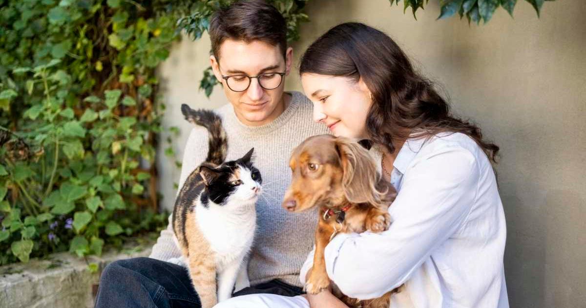 Cat owners vs. dog owners: Study reveals one group clearly donates more to charity