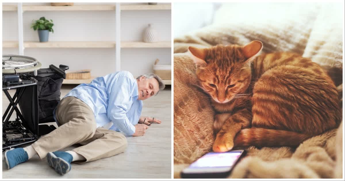 He tried to teach his cat to dial 911. Years later, when it was finally needed — his cat did the unthinkable
