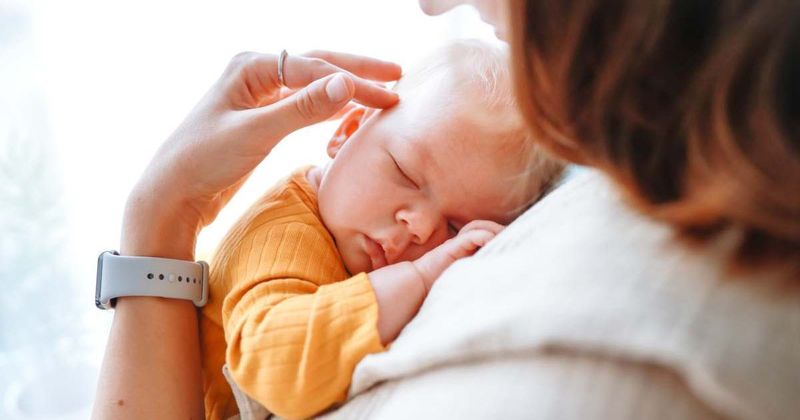 Mother's touch: Experiment with moms and babies in a room accidentally reveals ancient evolutionary secret