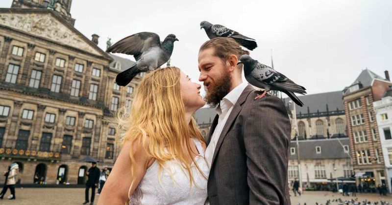 Women are using the 'bird theory' to test if their partners actually care and it's very telling