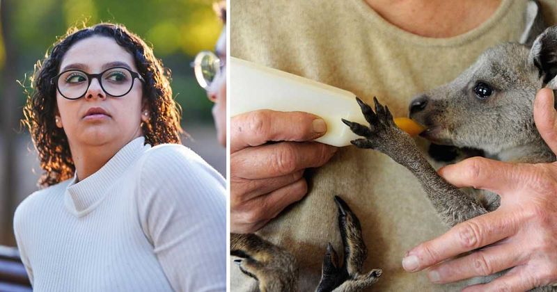 Teachers reveal wildest excuses for skipping school — like a kid who had to ‘feed a baby Kangaroo'