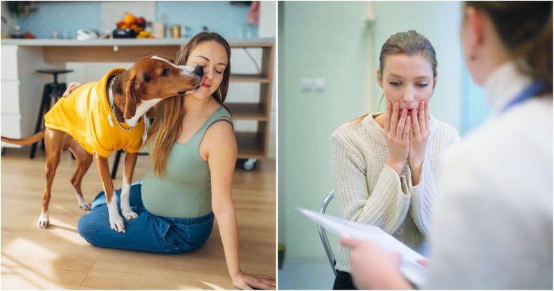 Dog's obsession with her neck pushes woman to visit the ER, and it may have saved her life
