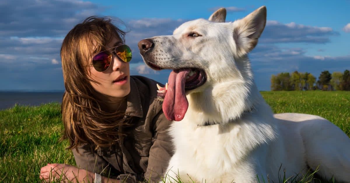 Woman adopts foster dog for one final day despite knowing it would be his last