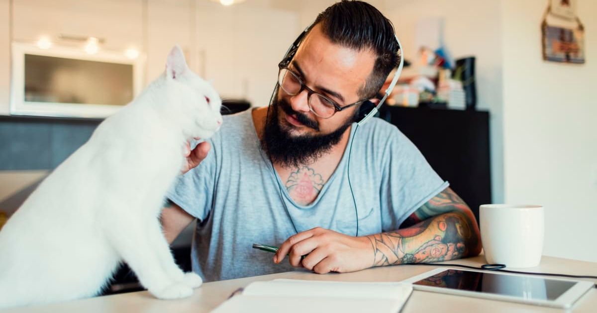 Man sends new neighbor a note after hearing her noisy cat 'pitter patter' all night — but it came with a twist