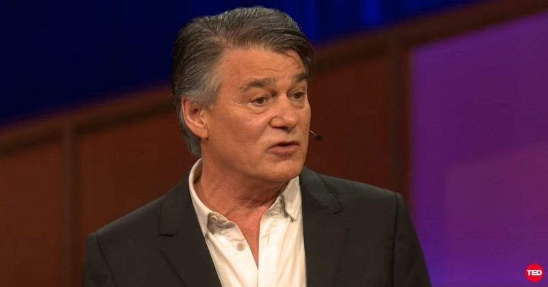 Let the forest find you: In 1994, an Irish poet predicted one lost habit that could rescue us from modernity's chaos