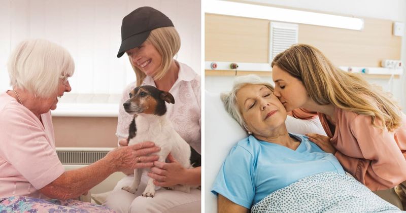 Woman brought her mom's dog to the hospital for a final goodbye — then made a quiet promise she couldn't break