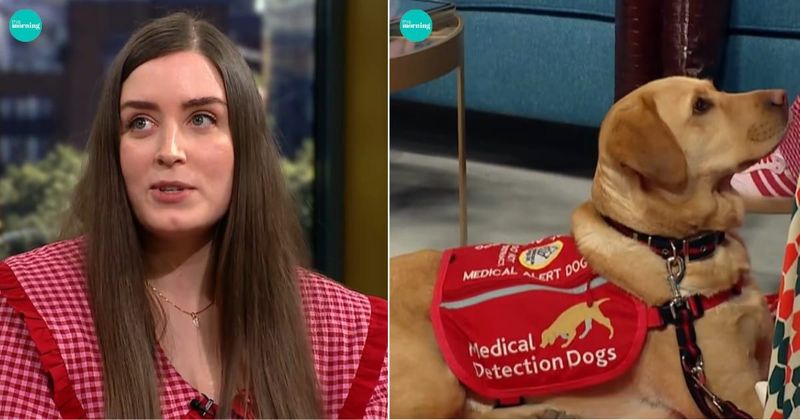 This woman faints up to a dozen times a day. Her dog learned to use his nose to protect her from injury
