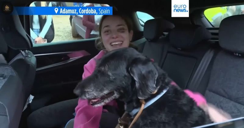 Heartbroken family thought they lost their dog in Spain’s high-speed train crash — until firefighters called