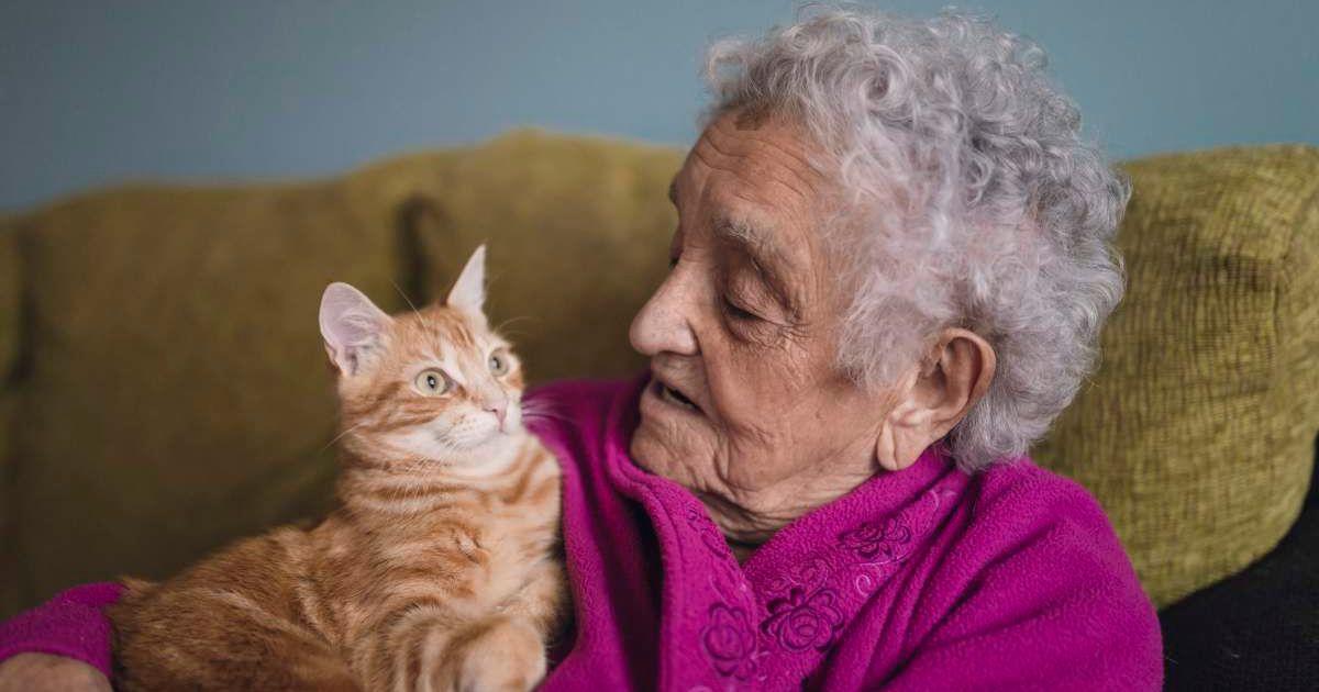 Dementia patient stopped talking at her nursing home — until a cat was placed in her lap