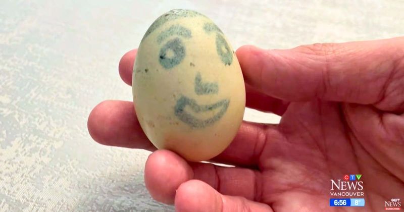 The Easter egg a 6-year-old drew on in the 1960s is still uncracked in his fridge — and became a family heirloom