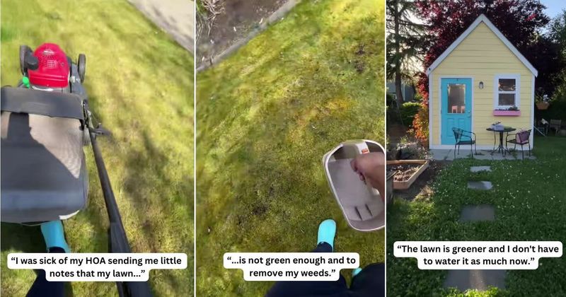 HOA kept complaining that woman's lawn was not green enough — so she complied maliciously