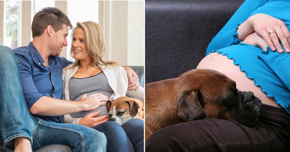 Heartbroken couple returned home from the hospital after losing their baby — completely unprepared for their dog's raw reaction