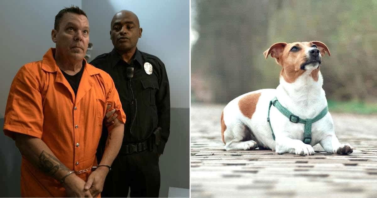 San Antonio cops arrested a homeless man — only to watch his helpless canine block the police car