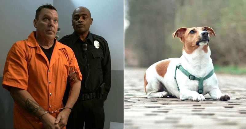 San Antonio cops arrested a homeless man — only to watch his helpless canine block the police car