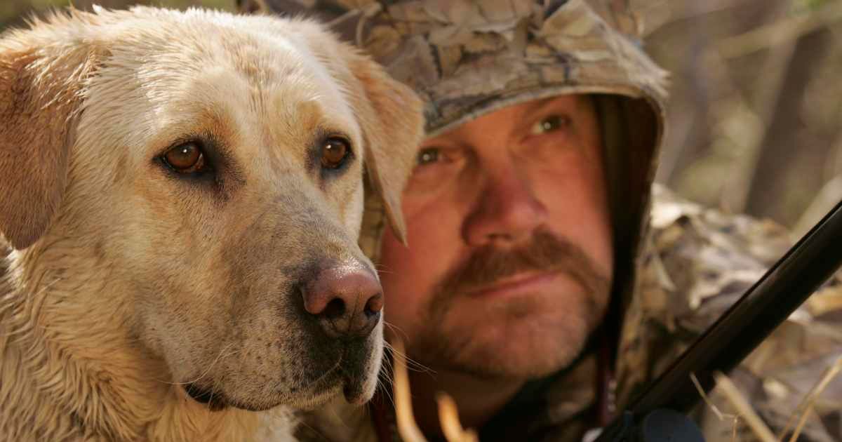 A Holocaust survivor recalls hiding from Nazis with 17 people and a dog — its silence saved them all