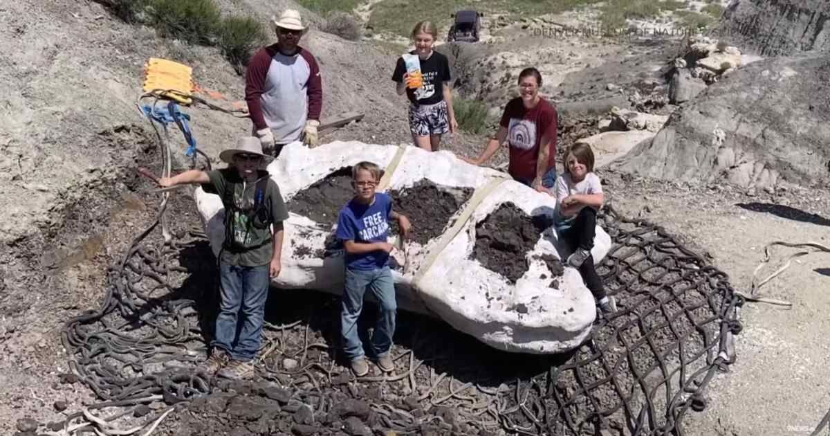 Dad on hike with his kids uncovers rare dinosaur fossil — immediately calls paleontologist friend