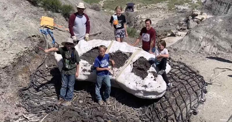 Dad on hike with his kids uncovers rare dinosaur fossil — immediately calls paleontologist friend