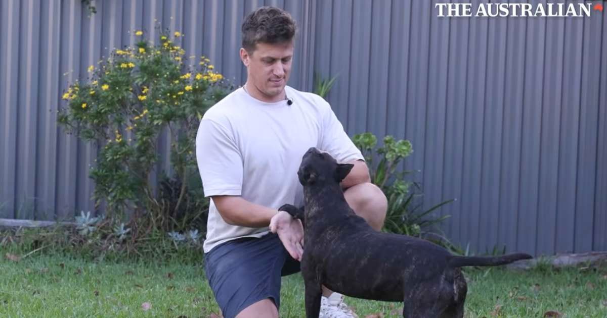 Vets gave his dog months to live — a man with no biology background built an AI vaccine to save her