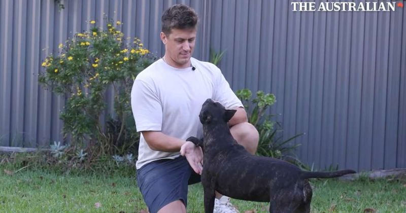 Vets gave his dog months to live — a man with no biology background built an AI vaccine to save her